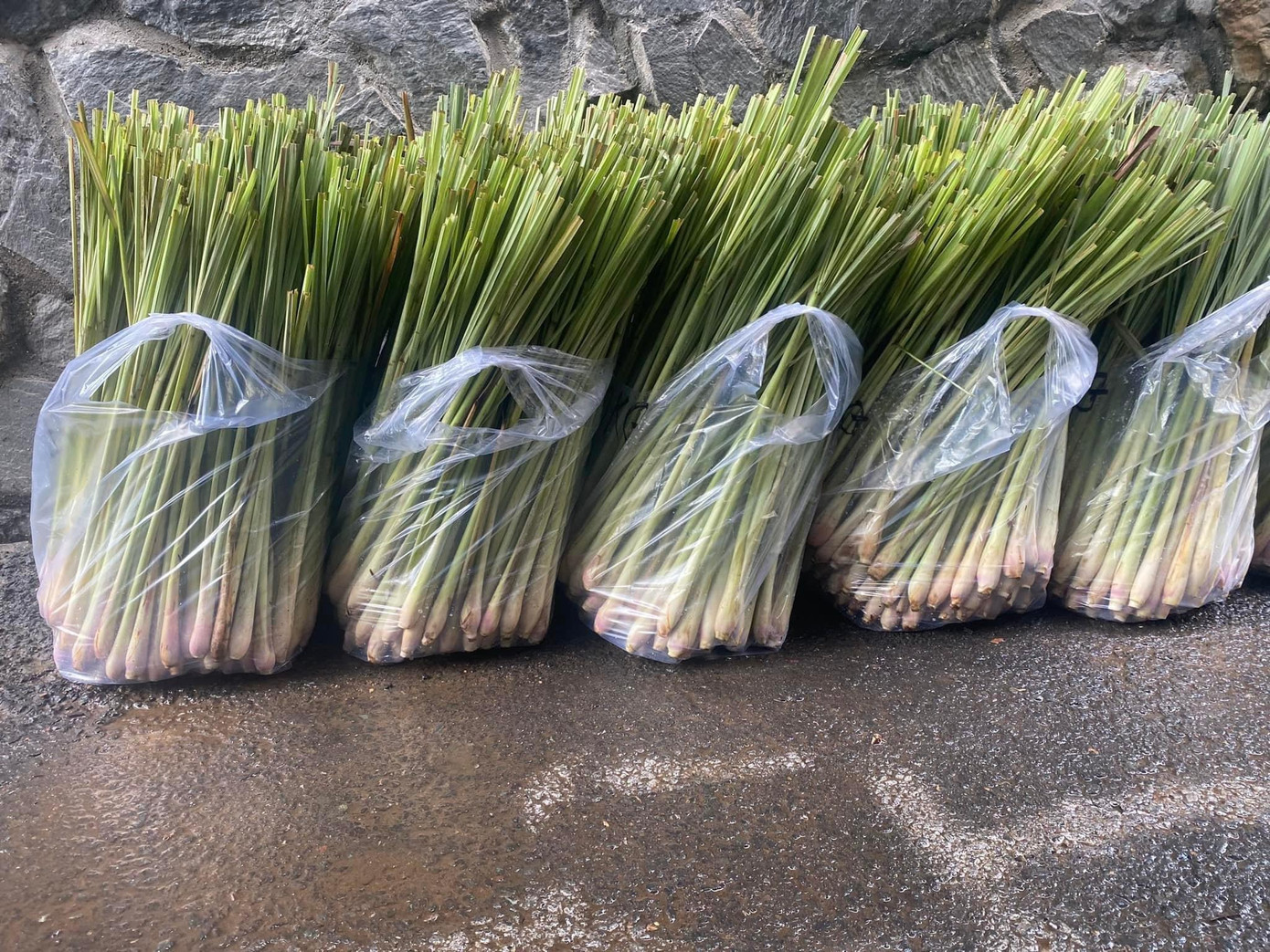 Củ sả được nhiều gia đình mua thời điểm này. Ảnh: Việt Linh. Củ sả được nhiều gia đình mua thời điểm này. Ảnh: Việt Linh.