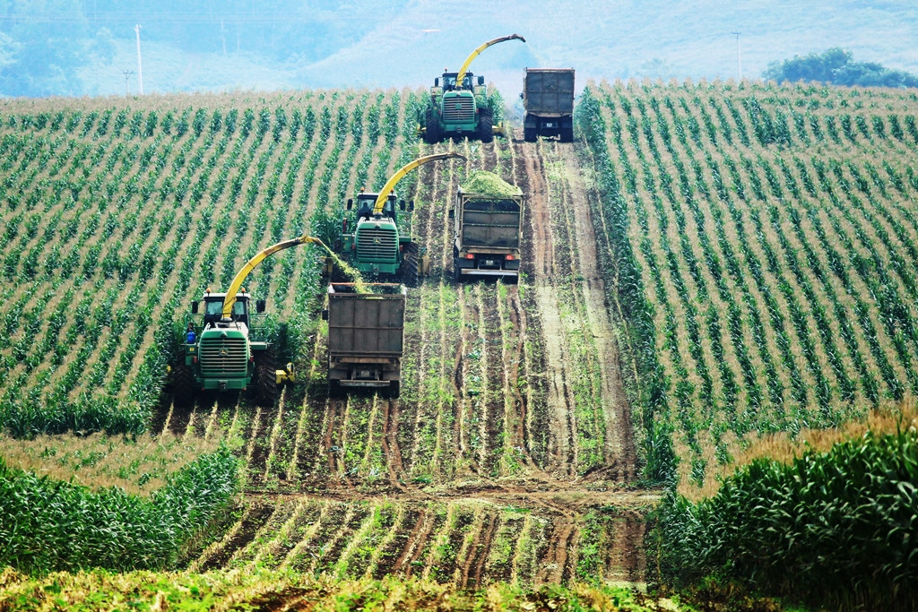 Những cỗ máy cỡ lớn, hiện đại, tự động hoá của Tập đoàn TH là một trong những bước đột phá trong chăn nuôi bò sữa