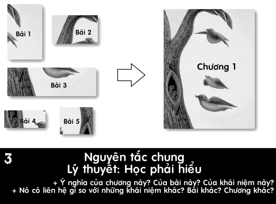Học đến đâu phải hiểu đến đó