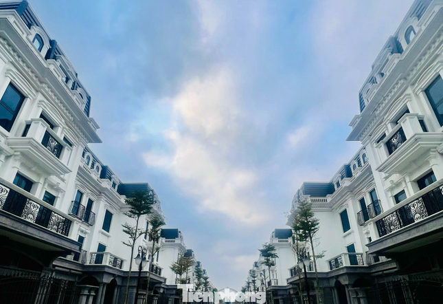 Loạt biệt thự đơn lập diện tích 315m2 tại dự án ở Bắc Từ Liêm (Hà Nội) đang được rầm rộ rao bán với mức giá cắt lỗ đến cả triệu USD.