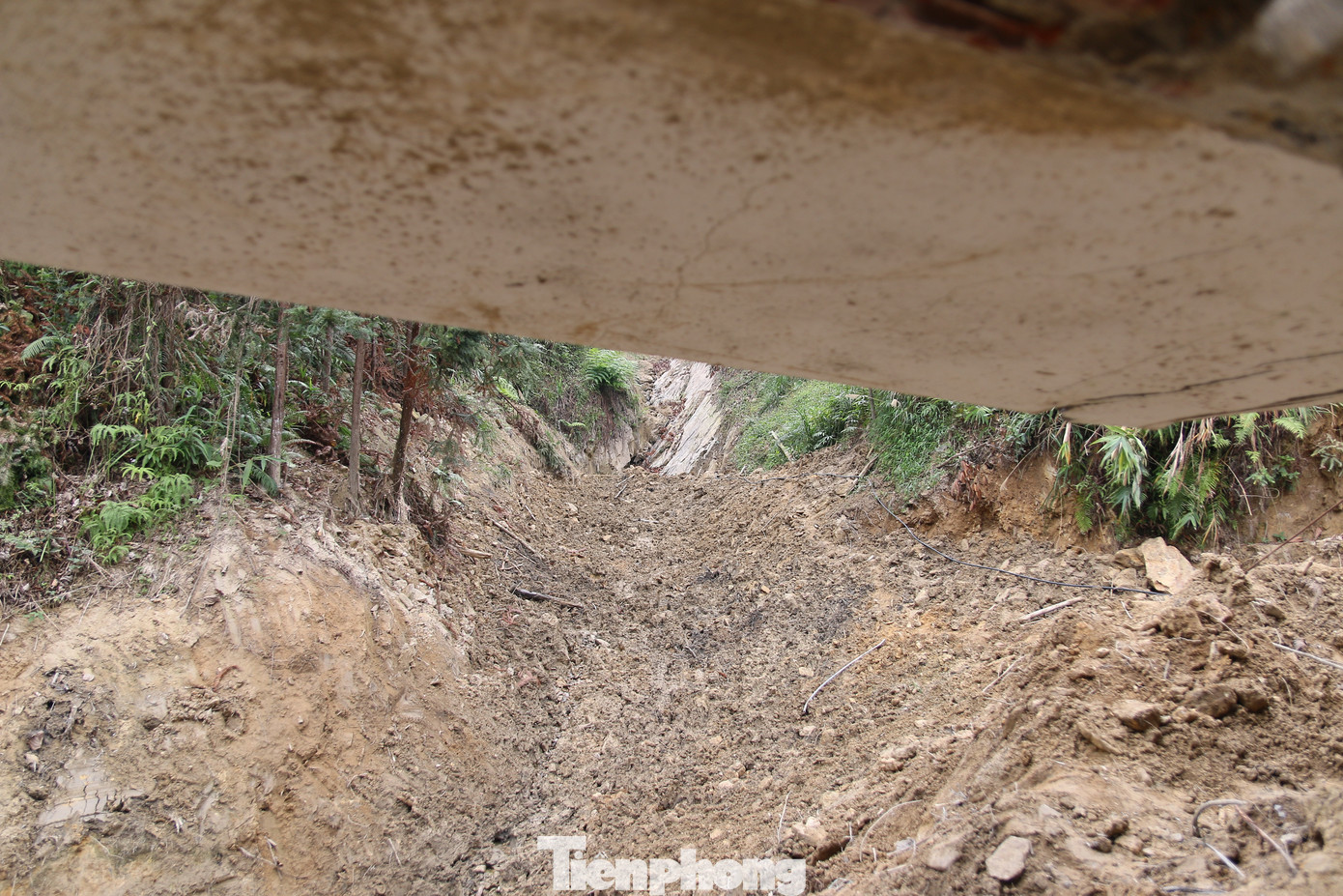 Ông Vàng A Dương - Bí thư Đảng ủy xã Nậm Khánh cho biết thêm, hiện UBND tỉnh đã phê duyệt chủ trương xây dựng trụ sở mới cho xã Nậm Khánh. Hiện các sở, ngành địa phương đang lên đo đạc, xác định vị trí, địa chất tại địa điểm xây dựng, lên phương án, thiết kế xây dựng trụ sở mới trong thời gian tới.