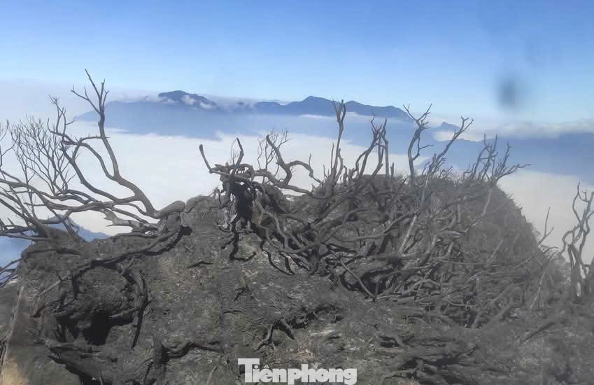 Lực lượng chức năng chia làm 2 hướng để tiếp cận đám cháy và tìm cách khống chế đám cháy lan rộng. Lực lượng chức năng chia làm 2 hướng để tiếp cận đám cháy và tìm cách khống chế đám cháy lan rộng.