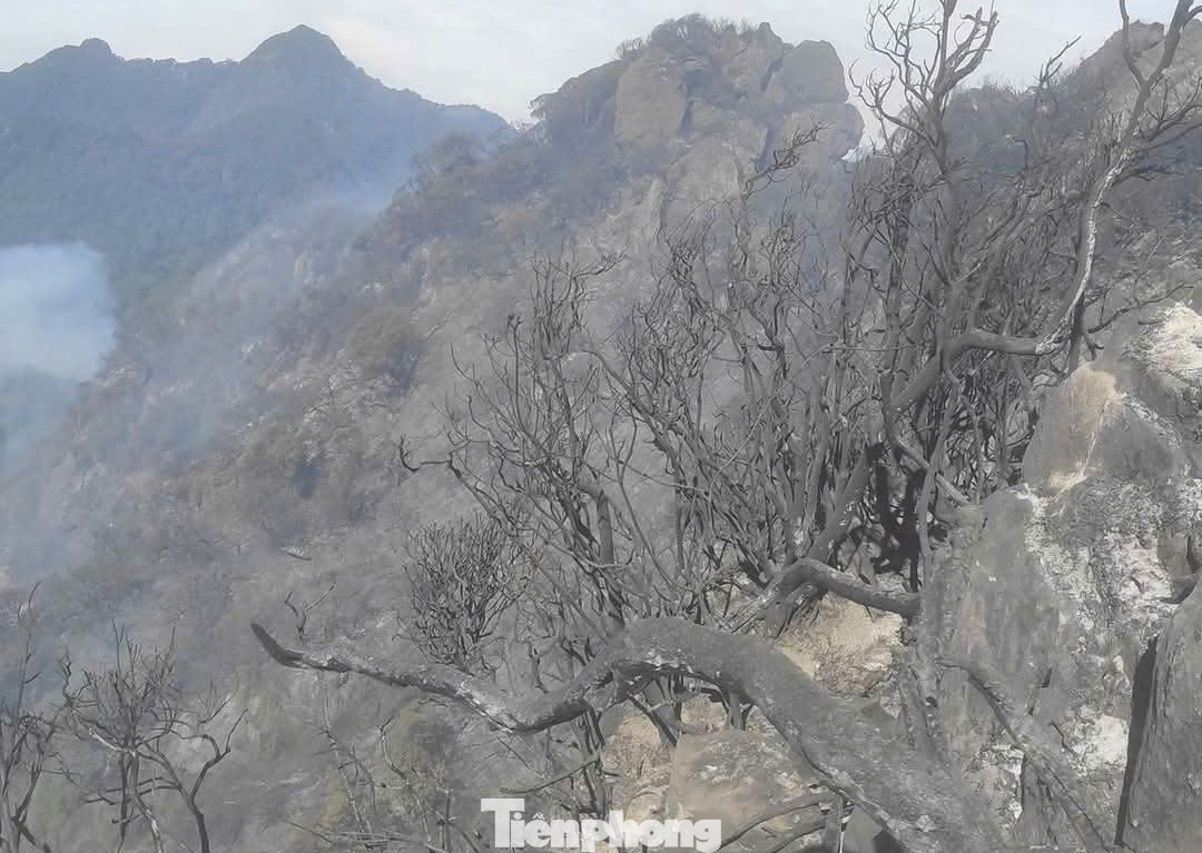 Lực lượng chức năng chia làm 2 hướng để tiếp cận đám cháy và tìm cách khống chế đám cháy lan rộng. Lực lượng chức năng chia làm 2 hướng để tiếp cận đám cháy và tìm cách khống chế đám cháy lan rộng.