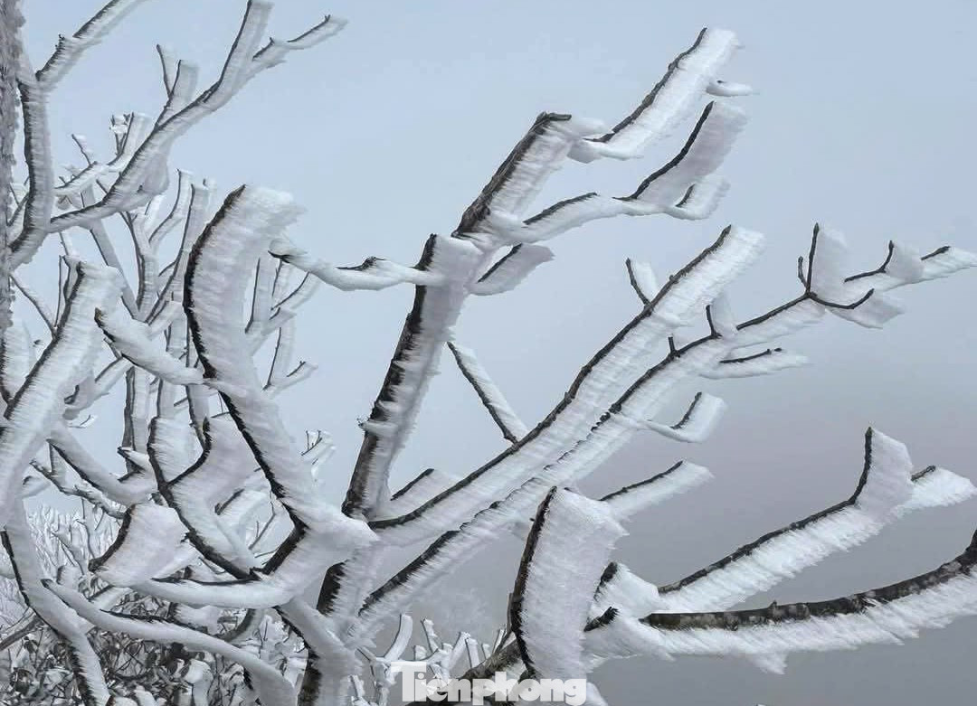 Cập nhật thông tin từ Trung tâm Dự báo khí tượng - thủy văn quốc gia cho biết, hôm nay 11/1, không khí lạnh đã ảnh hưởng sâu hơn, mở rộng đến các tỉnh Trung Trung bộ và một số nơi ở Nam Trung bộ. Trên vịnh Bắc bộ đã xuất hiện gió Đông Bắc mạnh cấp 7, giật cấp 9; tại trạm Lý Sơn (Quảng Ngãi), gió Đông Bắc mạnh cấp 6.