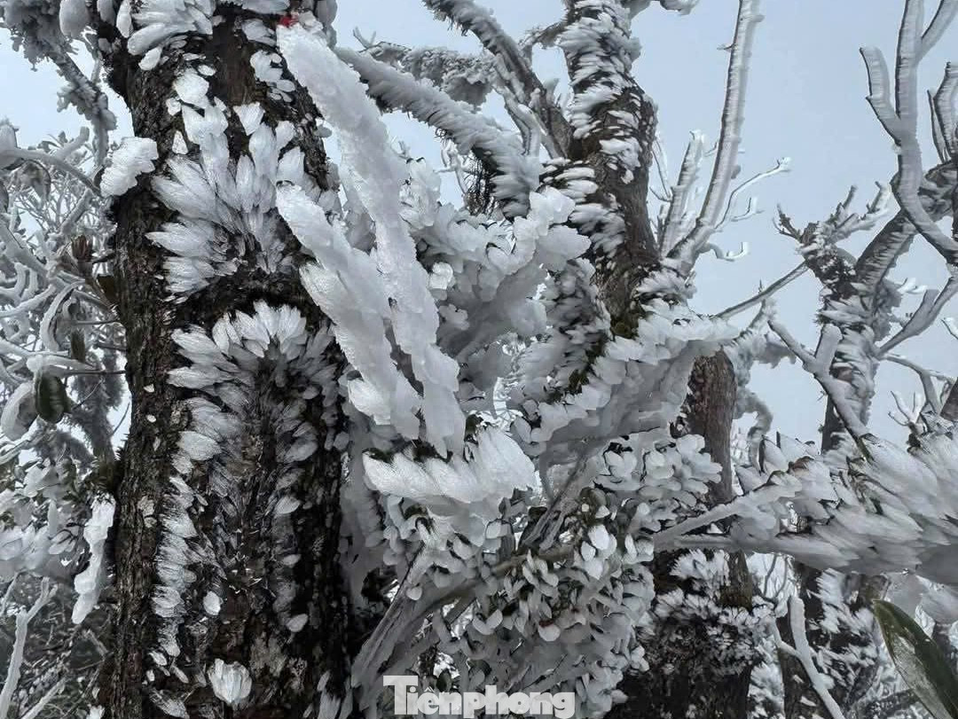 Theo anh Giàng A Ku (còn gọi là Ku Porter), địa điểm xuất hiện băng giá tại huyện Mù Cang Chải là đỉnh đèo La Pán Tẩn thuộc xã La Pán Tẩn. Anh Giàng A Ku cho biết, cây cối trên núi đã có nước đóng băng.