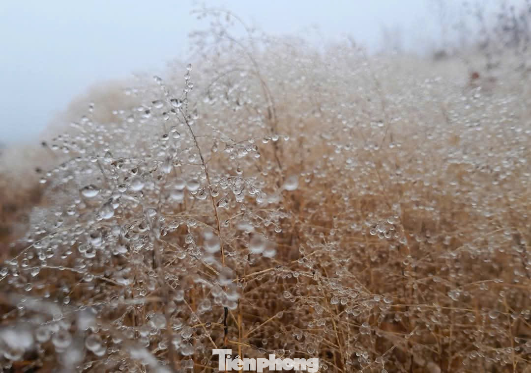 Trong khi đó, tại Lào Cai, băng giá xuất hiện tại một số đỉnh núi cao như Lảo Thẩn, Kỳ Quan San, và một số điểm tại xã Y Tý, huyện Bát Xát.