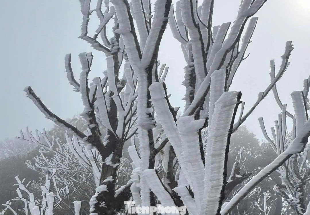 Cập nhật thông tin từ Trung tâm Dự báo khí tượng - thủy văn quốc gia cho biết, hôm nay 11/1, không khí lạnh đã ảnh hưởng sâu hơn, mở rộng đến các tỉnh Trung Trung bộ và một số nơi ở Nam Trung bộ. Trên vịnh Bắc bộ đã xuất hiện gió Đông Bắc mạnh cấp 7, giật cấp 9; tại trạm Lý Sơn (Quảng Ngãi), gió Đông Bắc mạnh cấp 6.