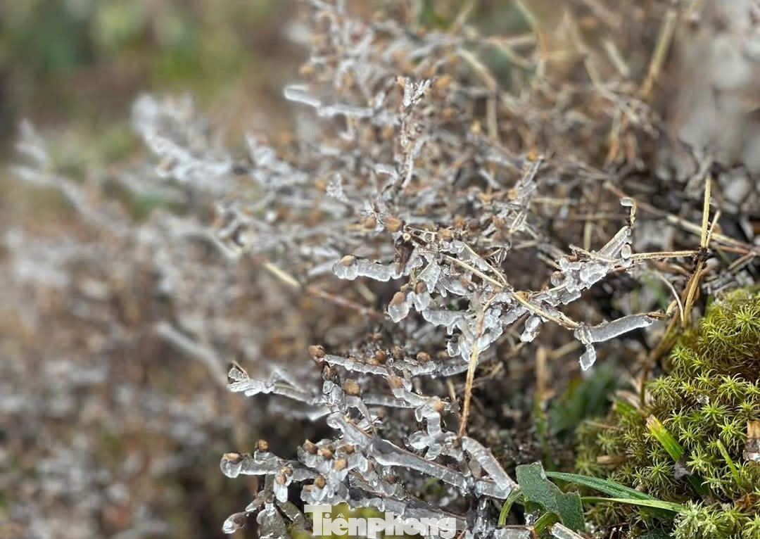 Theo những &quot;porter&quot; (người làm nghề hướng dẫn và vận chuyển đồ leo núi) cho biết, sáng sớm tại đỉnh Lảo Thẩn nhiệt độ xuống dưới 1 độ C và bắt đầu xuất hiện băng giá.