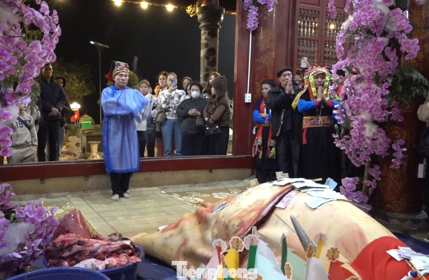 Đúng 0h ngày 2/2, lễ tế trâu trắng đầu năm được tiến hành ngay tại sân chính của đền Đông Cuông. Theo ban quản lý đền, đây là hoạt động tâm linh có từ xa xưa. Theo tục lệ, đầu năm tế trâu trắng để cầu cho mưa thuận, gió hòa và cầu cho bách gia trăm họ được sức khỏe, bình an.