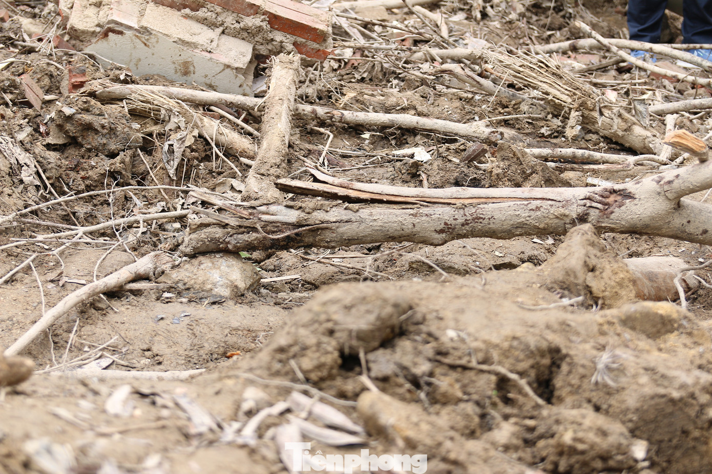 Những bức tường bị đổ gãy siêu vẹo, gãy đổ nham nhở, trụ bê tông chỉ còn trơ lại khung sắt...