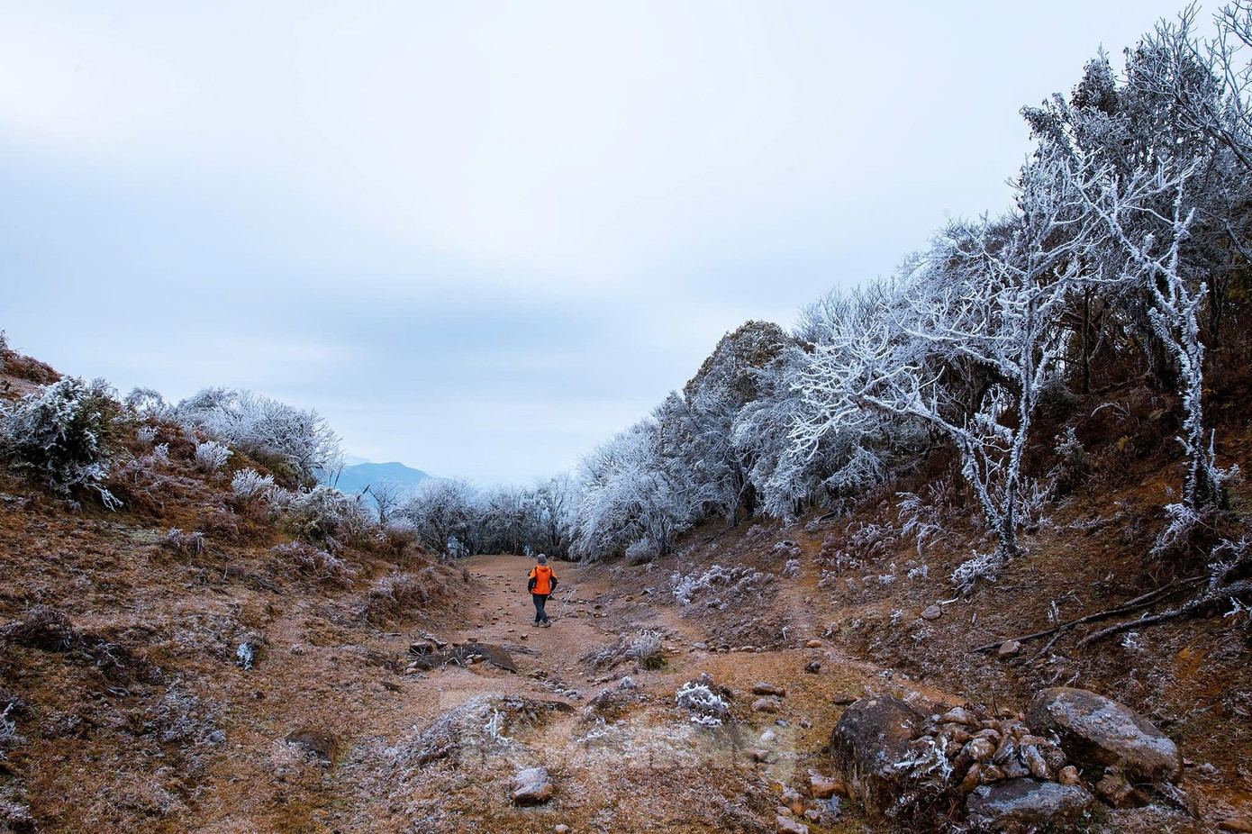 Đây cũng là dịp nhiều du khách, nhiếp ảnh gia hứng thú đến tham quan, trải nghiệm băng tuyết trong những ngày giáp Tết Nguyên đán.