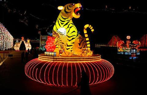 Châu Á rộn ràng đón Tết Âm lịch ảnh 7