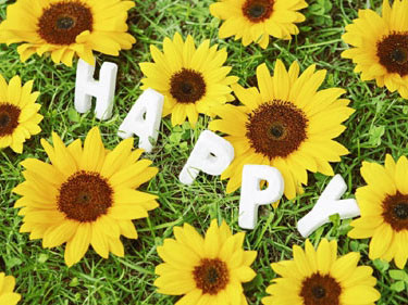 Khi bạn đi tìm hạnh phúc một mình, bạn đã để lại phía sau những người làm bạn hạnh phúc