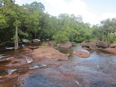 Có lúc dòng nước hiền hòa chảy xuống 