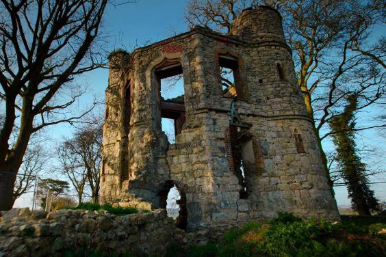 Cải tạo lâu đài bỏ hoang, cặp vợ chồng rao bán 25 tỷ đồng kiếm lời ảnh 1