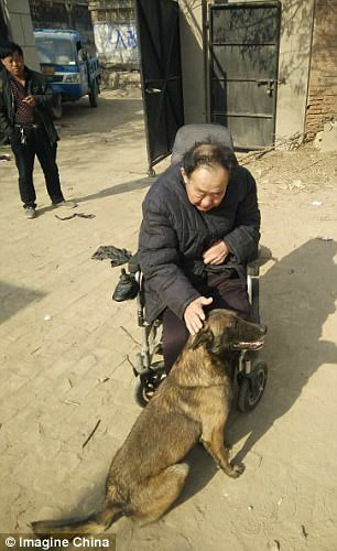 Cảm động con bỏ việc, dạy chó làm xiếc mua vui cho cha ảnh 2