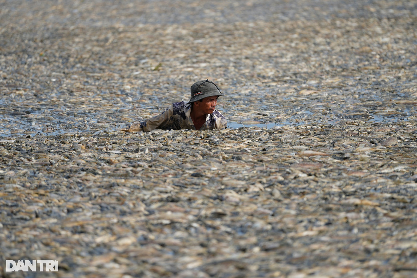 Nhân viên Đội quản lý nuôi trồng thủy sản hồ Sông Mây làm việc xuyên đợt nghỉ lễ 30/4 và 1/5 để vớt số cá chết ở hồ Sông Mây.
