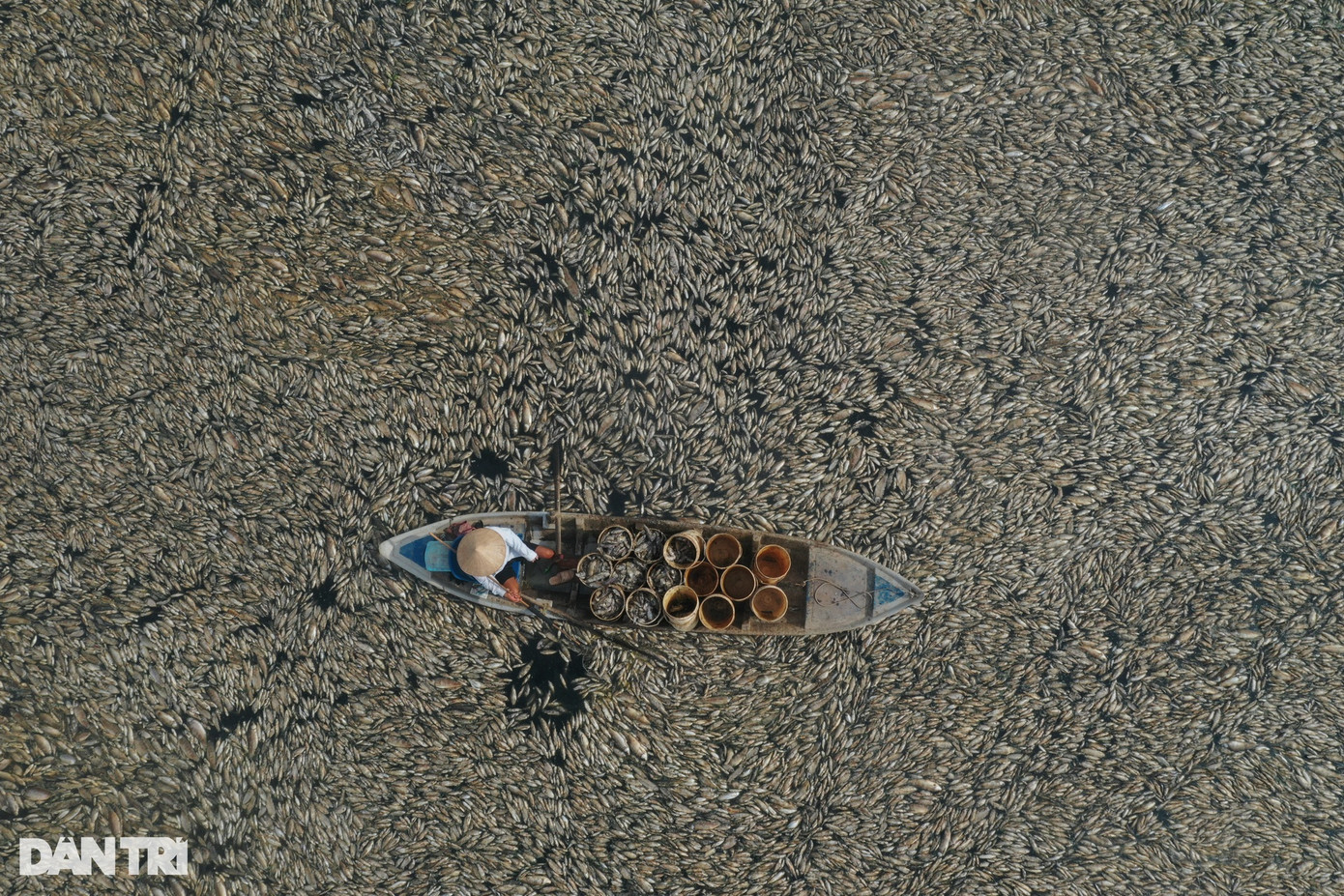 Cá chết nổi dày đặc dưới hồ Sông Mây, huyện Trảng Bom, tỉnh Đồng Nai. Tình hình hạn hán kéo dài khiến mực nước ở hồ giảm sâu, có nơi nước cạn trơ đáy khiến các loại cá trong hồ chết hàng loạt.