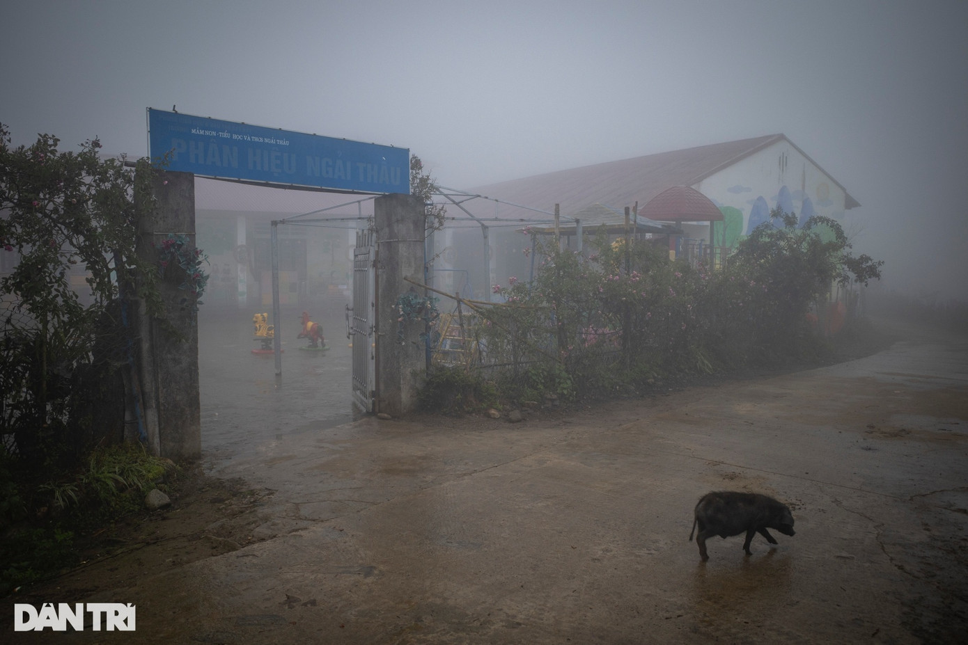 Điểm trường Ngải Thầu nằm tại thôn Ngải Thầu (xã A Lù, huyện Bát Xát, Lào Cai), đây là điểm trường nằm ở độ cao gần 2.000m so với mực nước biển, cao nhất Việt Nam thời điểm hiện tại. Điểm trường Ngải Thầu nằm tại thôn Ngải Thầu (xã A Lù, huyện Bát Xát, Lào Cai), đây là điểm trường nằm ở độ cao gần 2.000m so với mực nước biển, cao nhất Việt Nam thời điểm hiện tại.