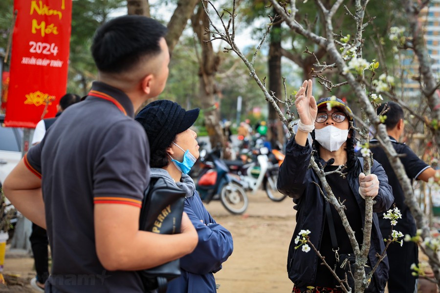 Một tiểu thương tại đây cho biết sức mua của người dân Thủ đô năm nay tốt hơn so với năm trước. (Ảnh: Hoài Nam/Vietnam+)