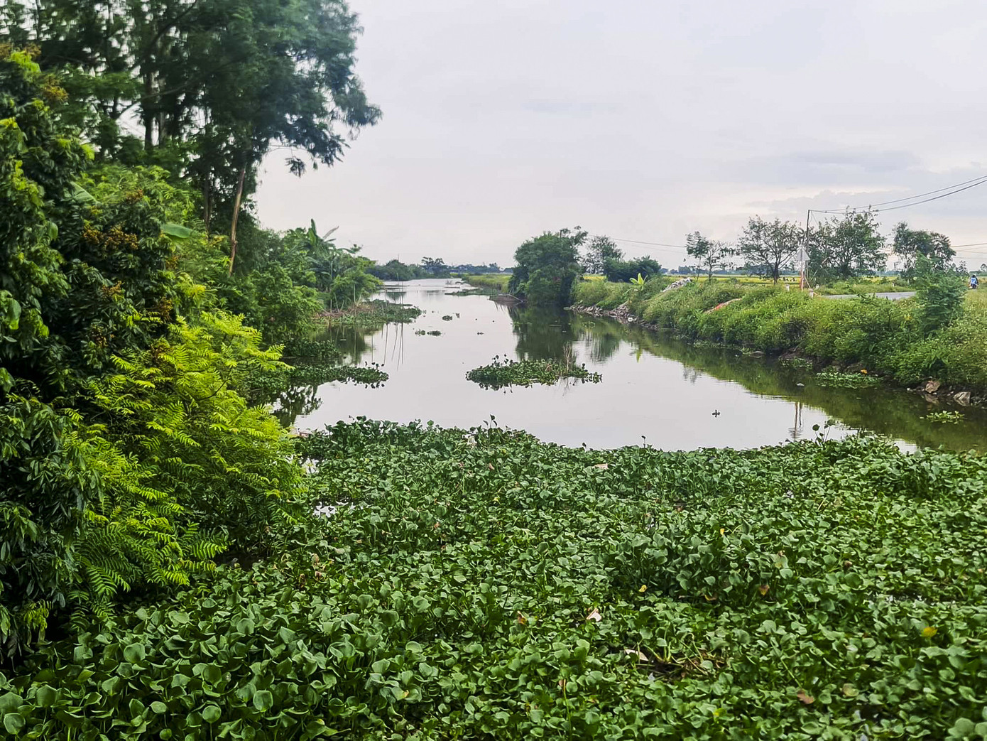 Khúc sông nơi phát hiện thi thể 2 mẹ con chị N.T.H. Ảnh: Trọng Tùng