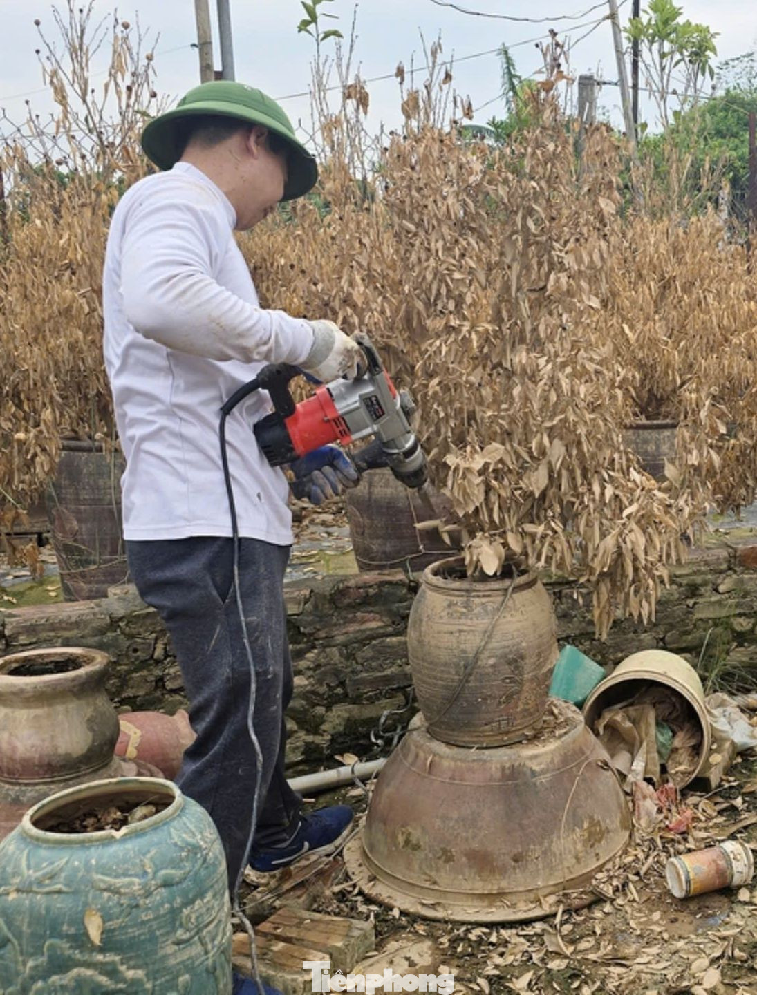 Nhiều người trồng hoa, cây cảnh đang cố gắng khắc phục hậu quả sau lũ lụt. Những cây không có khả năng "khắc phục"cứu" đã được cắt bỏ để chuẩn bị trồng lứa cây mới.