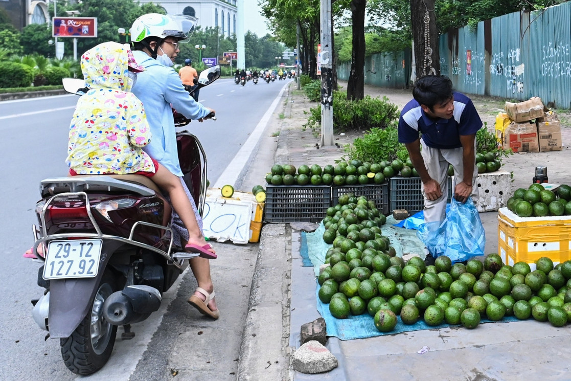 Phần vỉa hè ở đường Tố Hữu bị trưng dụng làm nơi bày bán hoa quả. Phần vỉa hè ở đường Tố Hữu bị trưng dụng làm nơi bày bán hoa quả.