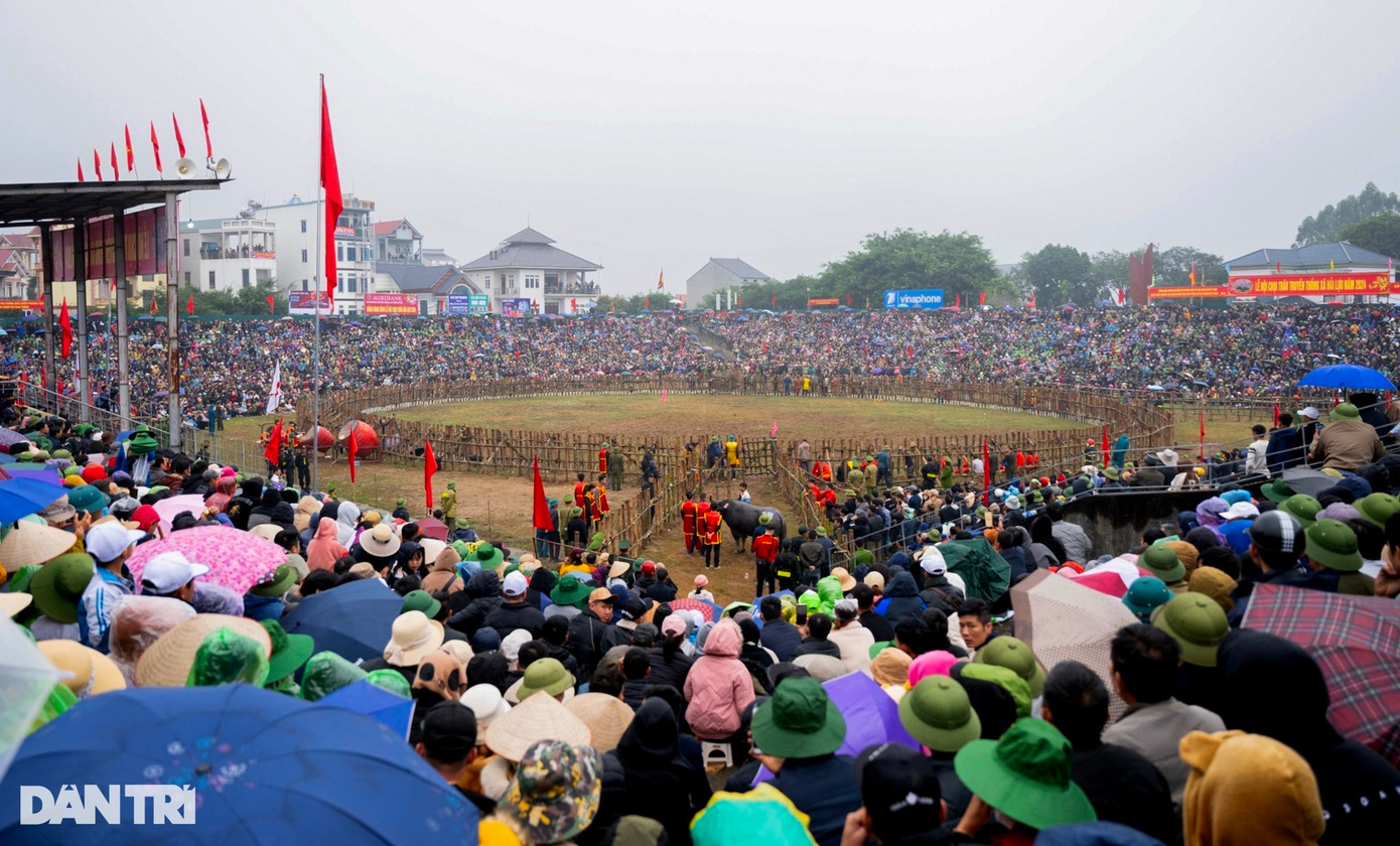 Dù thời tiết sáng nay khá lạnh, khoảng hơn 10 độ C, nhưng lễ hội vẫn đón hàng chục nghìn người dân và du khách đổ về sân vận động xã Hải Lựu theo dõi các màn tranh tài hấp dẫn của các "ông Cầu".