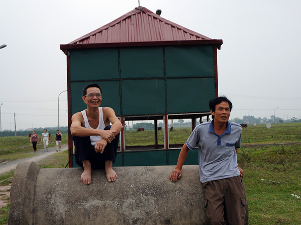 Khu đô thi trở về với các bác nông dân làm chỗ chăn trâu, bò