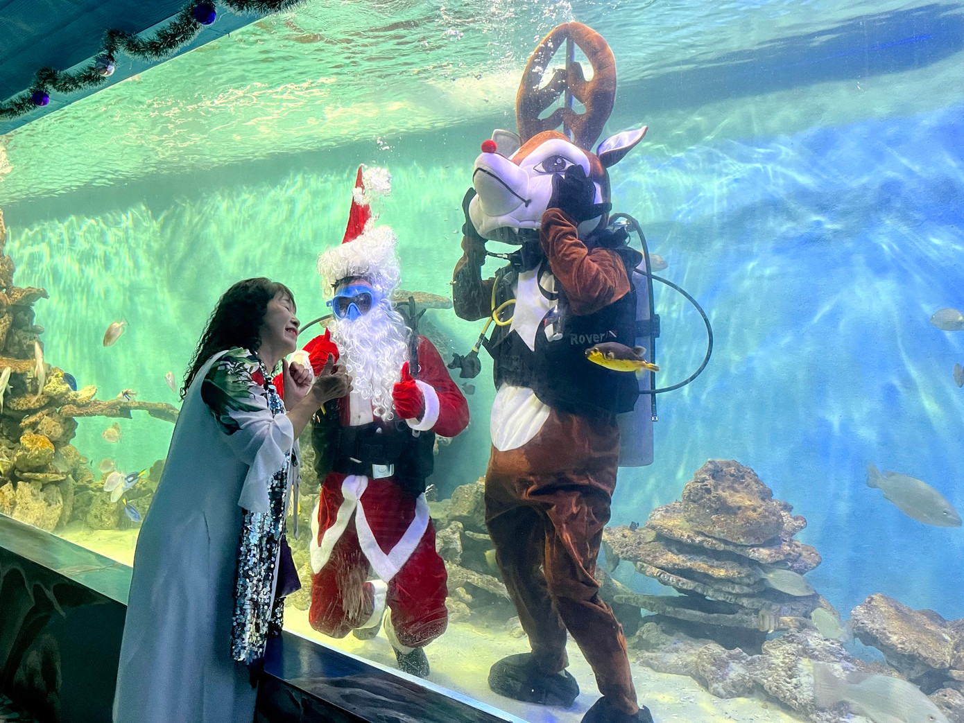 Cả người lớn cũng thích chụp hình cùng ông già Noel trong bể cá. Cả người lớn cũng thích chụp hình cùng ông già Noel trong bể cá.