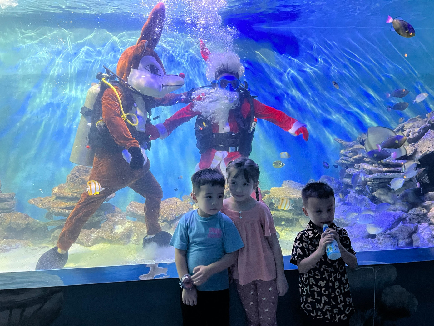 Các em nhỏ chụp ảnh cùng bộ đôi ông già Noel và tuần lộc. Các em nhỏ chụp ảnh cùng bộ đôi ông già Noel và tuần lộc.