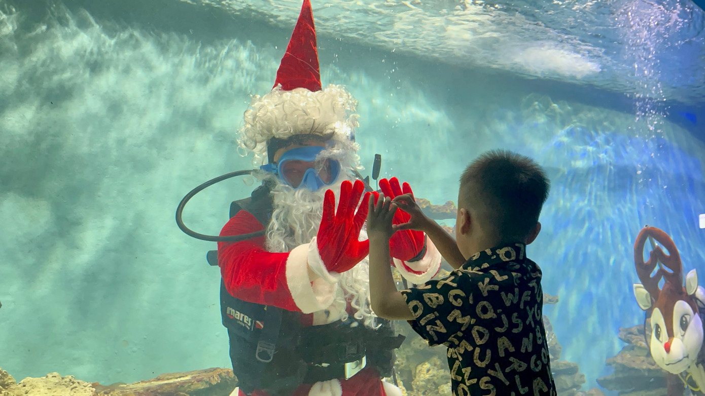 Một bạn nhỏ thả tim cùng ông già Noel trong bể cá. Một bạn nhỏ thả tim cùng ông già Noel trong bể cá.