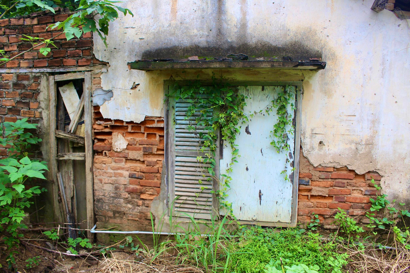 Các mảng tường nhà dân trong di tích thành cổ Diên Khánh xuống cấp nghiêm trọng, bong tróc từng mảng vữa lớn để lộ gạch. Ảnh: K.N. Các mảng tường nhà dân trong di tích thành cổ Diên Khánh xuống cấp nghiêm trọng, bong tróc từng mảng vữa lớn để lộ gạch. Ảnh: K.N.