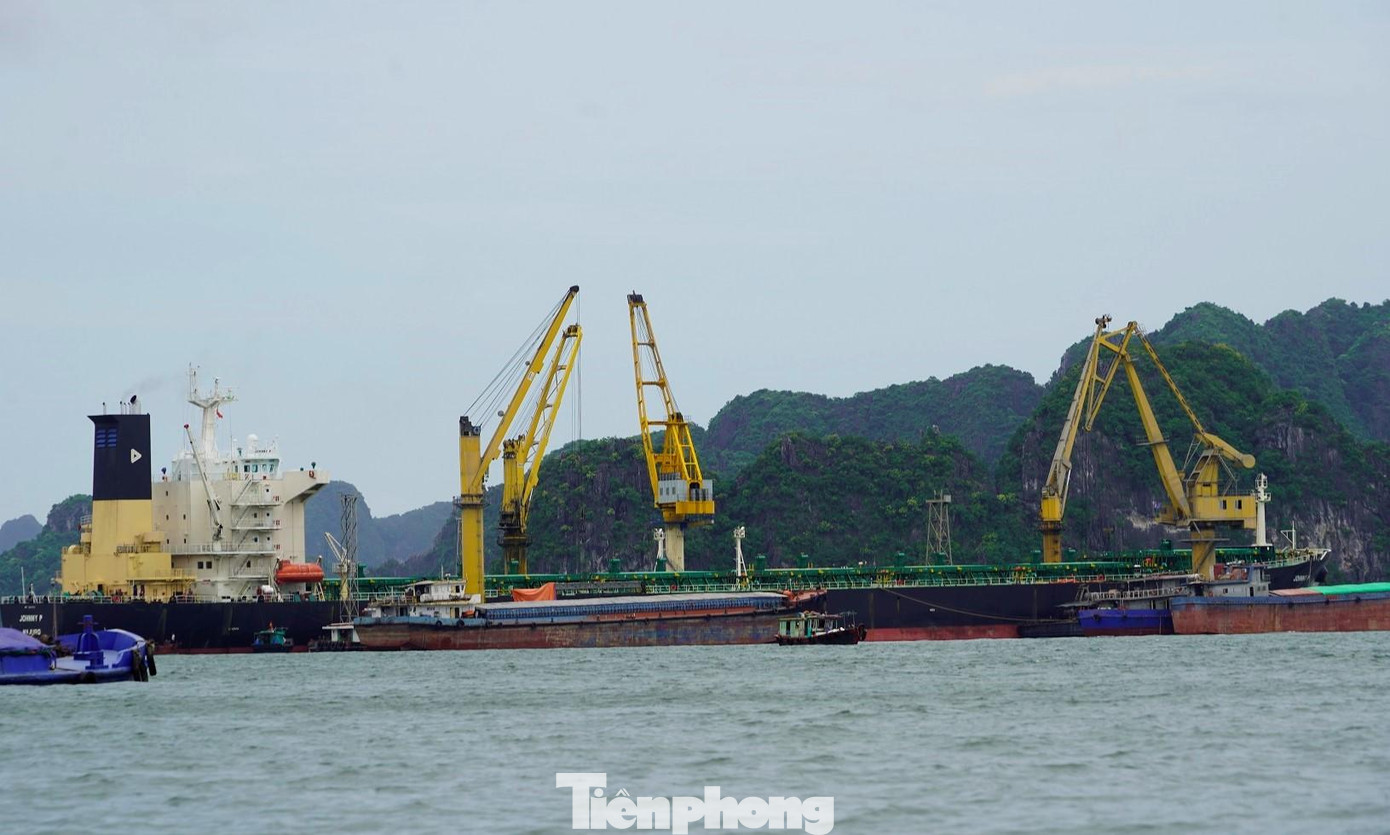 Ảnh minh họa. Ảnh minh họa.