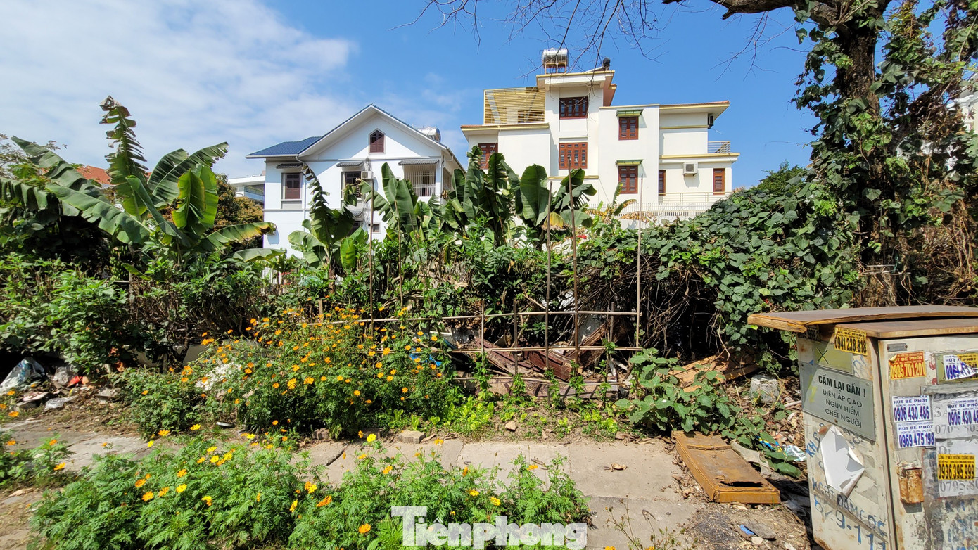 Cả 2 ô đất luôn nằm trong tình trạng bỏ hoang, cỏ mọc um tùm. Cả 2 ô đất luôn nằm trong tình trạng bỏ hoang, cỏ mọc um tùm.