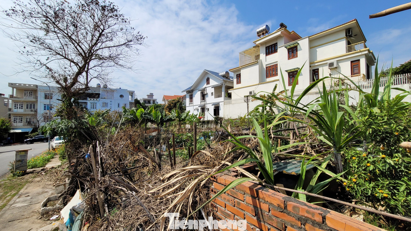 2 lô đất biệt thự liền kề của bà Vũ Liên Oanh tại đồi T5 phường Hồng Hà, TP. Hạ Long. 2 lô đất biệt thự liền kề của bà Vũ Liên Oanh tại đồi T5 phường Hồng Hà, TP. Hạ Long.