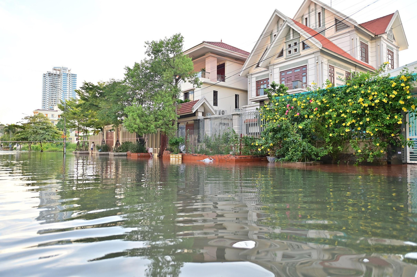 Mỗi lần triều cường, nước từ các ống cống phun lên gây ngập lụt cục bộ, mỗi trận lụt kéo dài vài ngày. Nhiều gia đình có nhà cũng không dám về ở vì sợ ngập lụt.