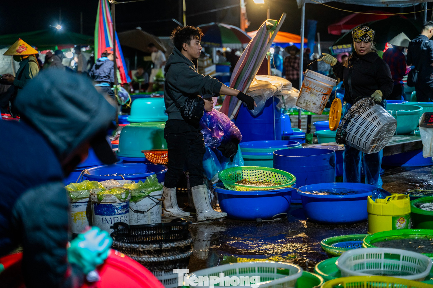 Đối với nhiều loại thủy hải sản tươi sống được phân loại, đưa ngay xuống văng lớn (ngăn dưới sàn thuyền, có lỗ nhỏ thông với biển cho nước lưu thông) hoặc đưa vào thùng sục khí để giữ hải sản tươi sống.