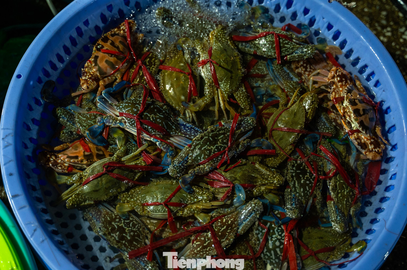 Người mua, người bán ngay bên biển, trong đêm sớm tạo nên bức tranh bình dị về cuộc sống, hoạt động của một khu chợ được ví là chợ "không ngủ" giữa lòng thành phố, tạo nên thêm một nét độc đáo của cuộc sống vùng biển.