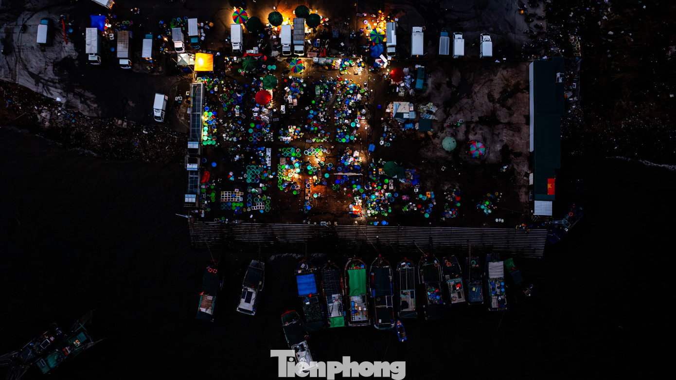 Khắp nơi là các loại hải sản từ to tới nhỏ, được xếp hoặc phân loại thành từng khay... Gây chú ý nhất là nhiều loại thủy hải sản tươi rói, bơi sống vừa được vận chuyển từ tàu lên, bơi trong các chậu, thùng, đổ ra còn nguyên vị nước biển...