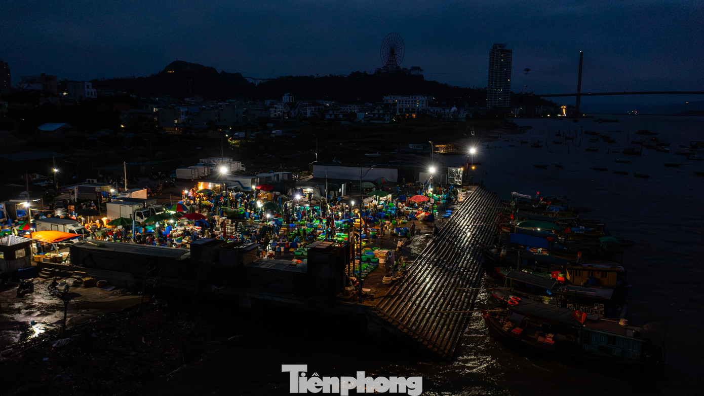 Chợ hải sản Hạ Long thuộc phường Cao Xanh, TP. Hạ Long, tỉnh Quảng Ninh nổi tiếng hơn 30 năm nay bởi đây là chợ đầu mối hải sản lớn nhất của TP Hạ Long. Chợ họp vào lúc 2h sáng khi các tàu biển chở đầy ắp cá và hải sản đánh bắt từ các ngư trường trở về.