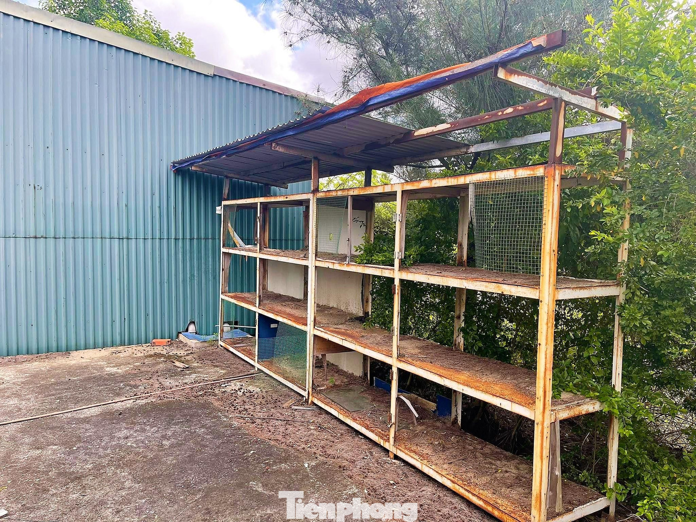 Trao đổi với đại diện lãnh đạo UBND thành phố Hạ Long, vị đại diện này cho biết: dự án này đã trải qua mấy đời chủ tịch nhưng vẫn chưa có hướng xử lý triệt để. Mới đây, thành phố đã có văn bản trình lên UBND tỉnh Quảng Ninh về phương án xử lý chủ đầu tư và dự án vì không thực hiện theo tiến độ cam kết ban đầu. Hiện thành phố vẫn đang chờ chỉ đạo của tỉnh.