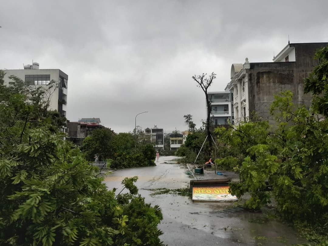 Khoảng 70% cây xanh đô thị bị gãy đổ. Khoảng 70% cây xanh đô thị bị gãy đổ.