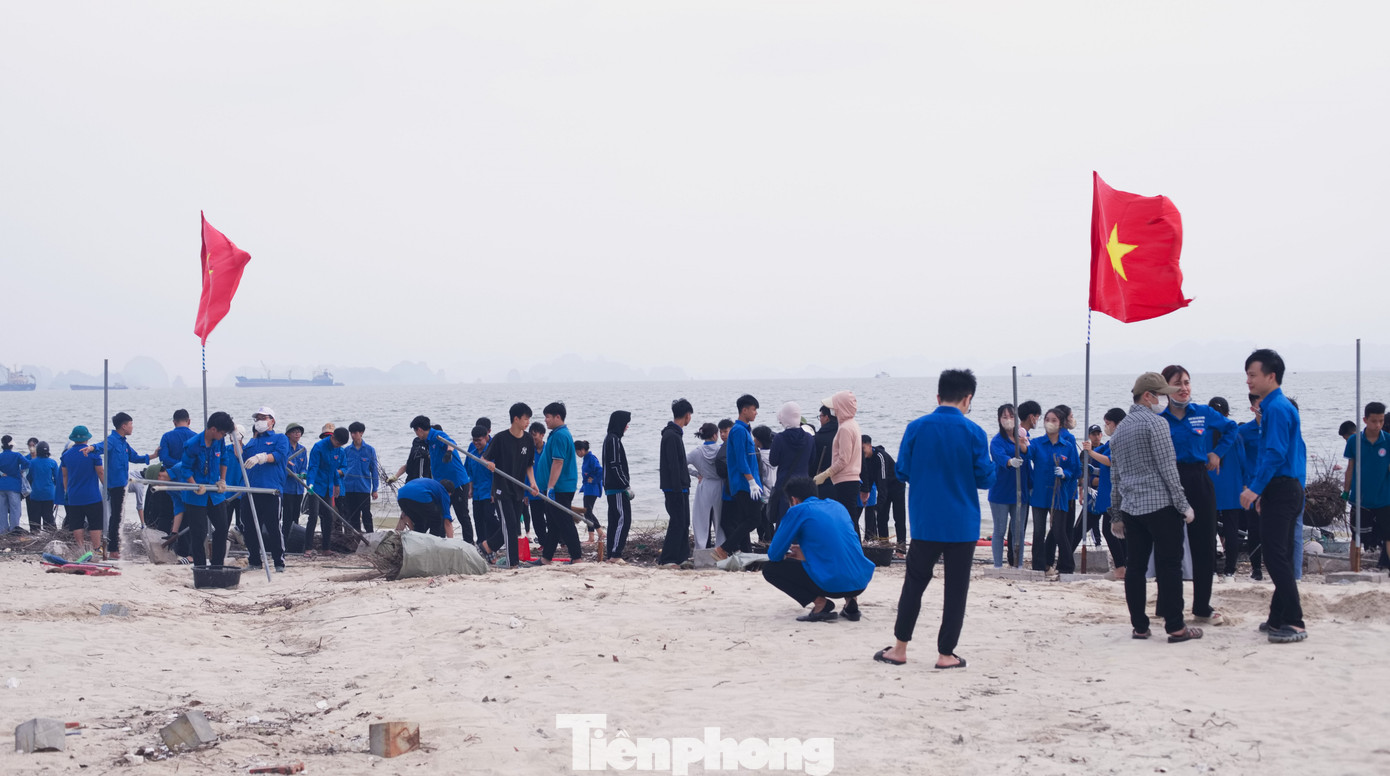 Các đội hình thanh niên tình nguyện của chiến dịch sẽ thực hiện các phần việc tại các địa điểm chính là tuyến đường bao biển Trần Quốc Nghiễn (đoạn từ ngã ba Vincom Hạ Long đến Cây xăng Cột 8); khu vực Bãi tắm Hòn Gai; khu vực tuyến đường Kỳ Quan (đoạn từ đê VinPearl Đảo Rều đến Ngọn Hải Đăng); Bãi biển Bãi Cháy và khu vực hai bên đường từ vòng xuyến Khách sạn Mường Thanh (đầu đường Vườn Đào) đến Đường Cái Bèo (đối diện Công viên Đại Dương). Các đội hình thanh niên tình nguyện của chiến dịch sẽ thực hiện các phần việc tại các địa điểm chính là tuyến đường bao biển Trần Quốc Nghiễn (đoạn từ ngã ba Vincom Hạ Long đến Cây xăng Cột 8); khu vực Bãi tắm Hòn Gai; khu vực tuyến đường Kỳ Quan (đoạn từ đê VinPearl Đảo Rều đến Ngọn Hải Đăng); Bãi biển Bãi Cháy và khu vực hai bên đường từ vòng xuyến Khách sạn Mường Thanh (đầu đường Vườn Đào) đến Đường Cái Bèo (đối diện Công viên Đại Dương).