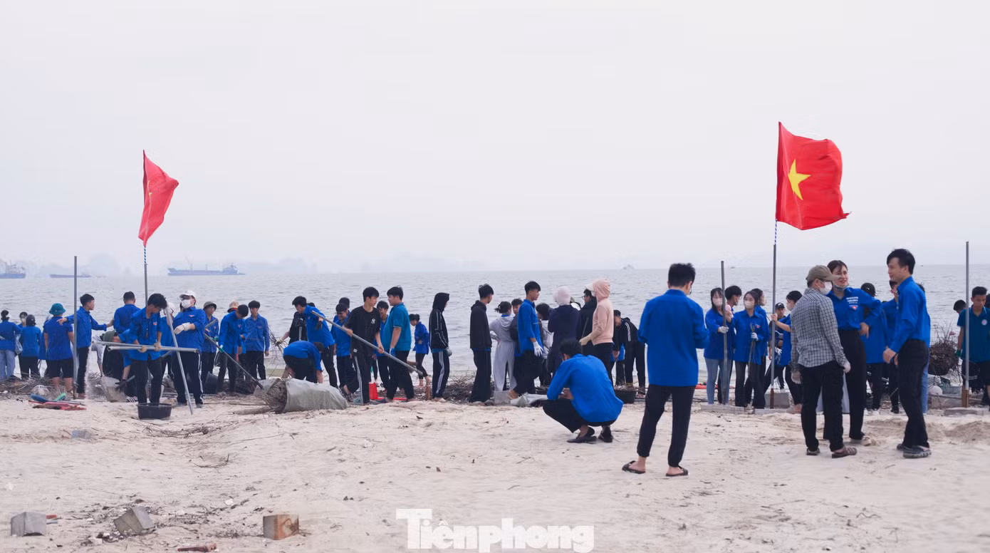 Các đội hình thanh niên tình nguyện của chiến dịch sẽ thực hiện các phần việc tại các địa điểm chính là tuyến đường bao biển Trần Quốc Nghiễn (đoạn từ ngã ba Vincom Hạ Long đến Cây xăng Cột 8); khu vực Bãi tắm Hòn Gai; khu vực tuyến đường Kỳ Quan (đoạn từ đê VinPearl Đảo Rều đến Ngọn Hải Đăng); Bãi biển Bãi Cháy và khu vực hai bên đường từ vòng xuyến Khách sạn Mường Thanh (đầu đường Vườn Đào) đến Đường Cái Bèo (đối diện Công viên Đại Dương).
