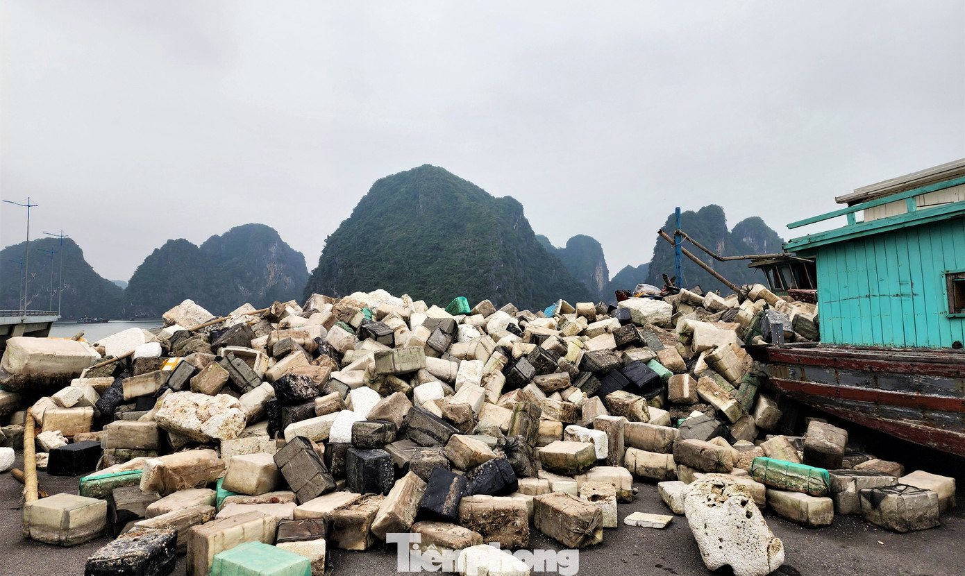 Ngày 14/4, trao đổi với Tiền Phong, ông Nguyễn Trung Hậu, Phó Trưởng Ban Quản lý vịnh Hạ Long cho biết, hiện các lực lượng chức năng cùng doanh nghiệp, ngư dân vẫn đang tích cực thu gom rác trên vịnh. Từ ngày đầu ra quân thu gom đến nay ước tính đã vớt được khoảng 2.000 khối rác thải các loại.