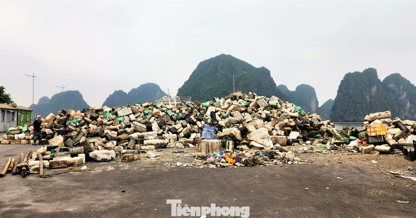 Tại khu vực bến Đoan, phường Hòn Gai, TP. Hạ Long đang xuất hiện hàng núi rác được tập kết chờ công ty môi trường xử lý.