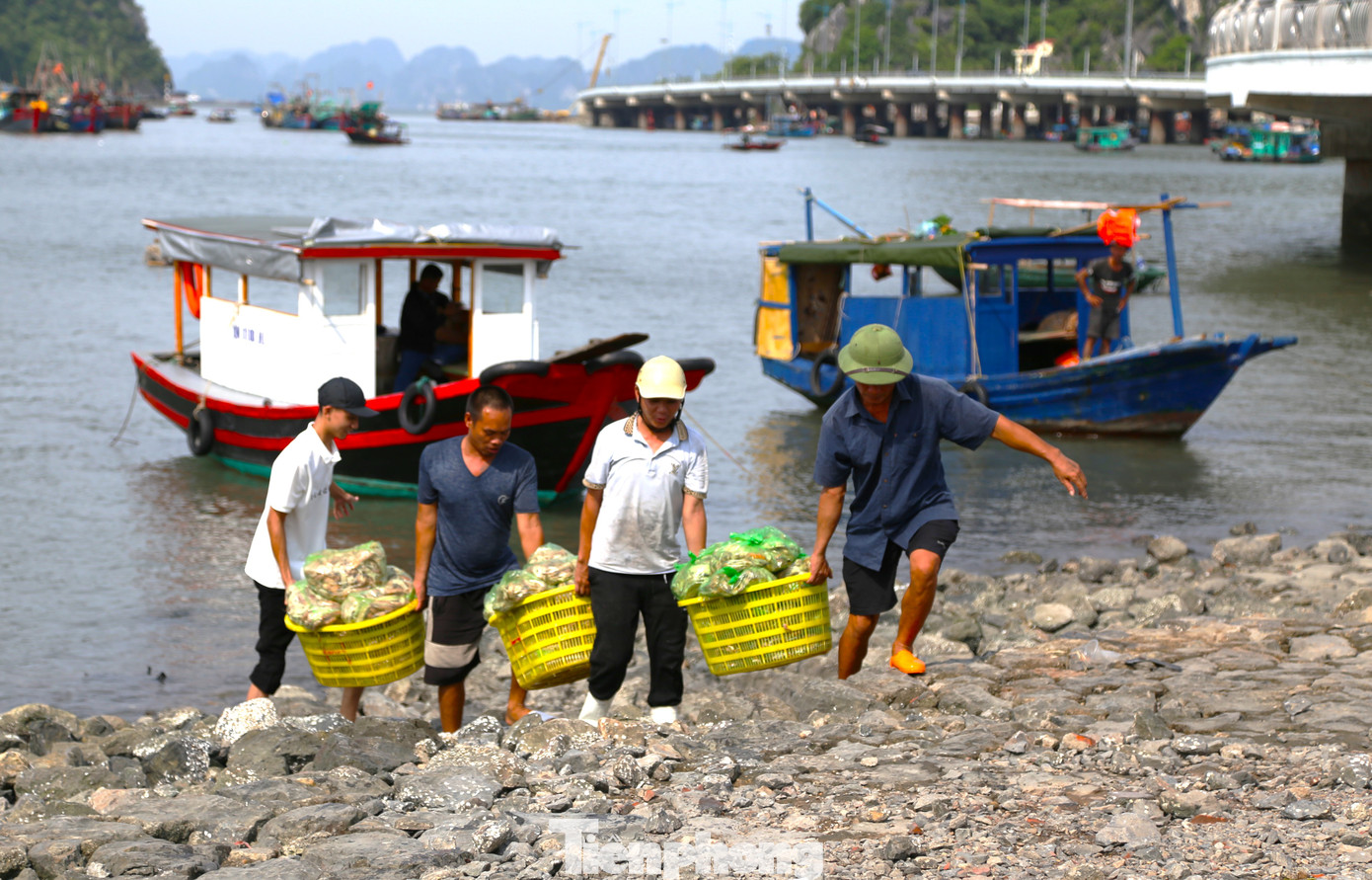 Các đơn vị, địa phương rà soát, triển khai các biện pháp đảm bảo an toàn cho người dân tại các khu vực có nguy cơ cao về ngập lụt, sạt lở.