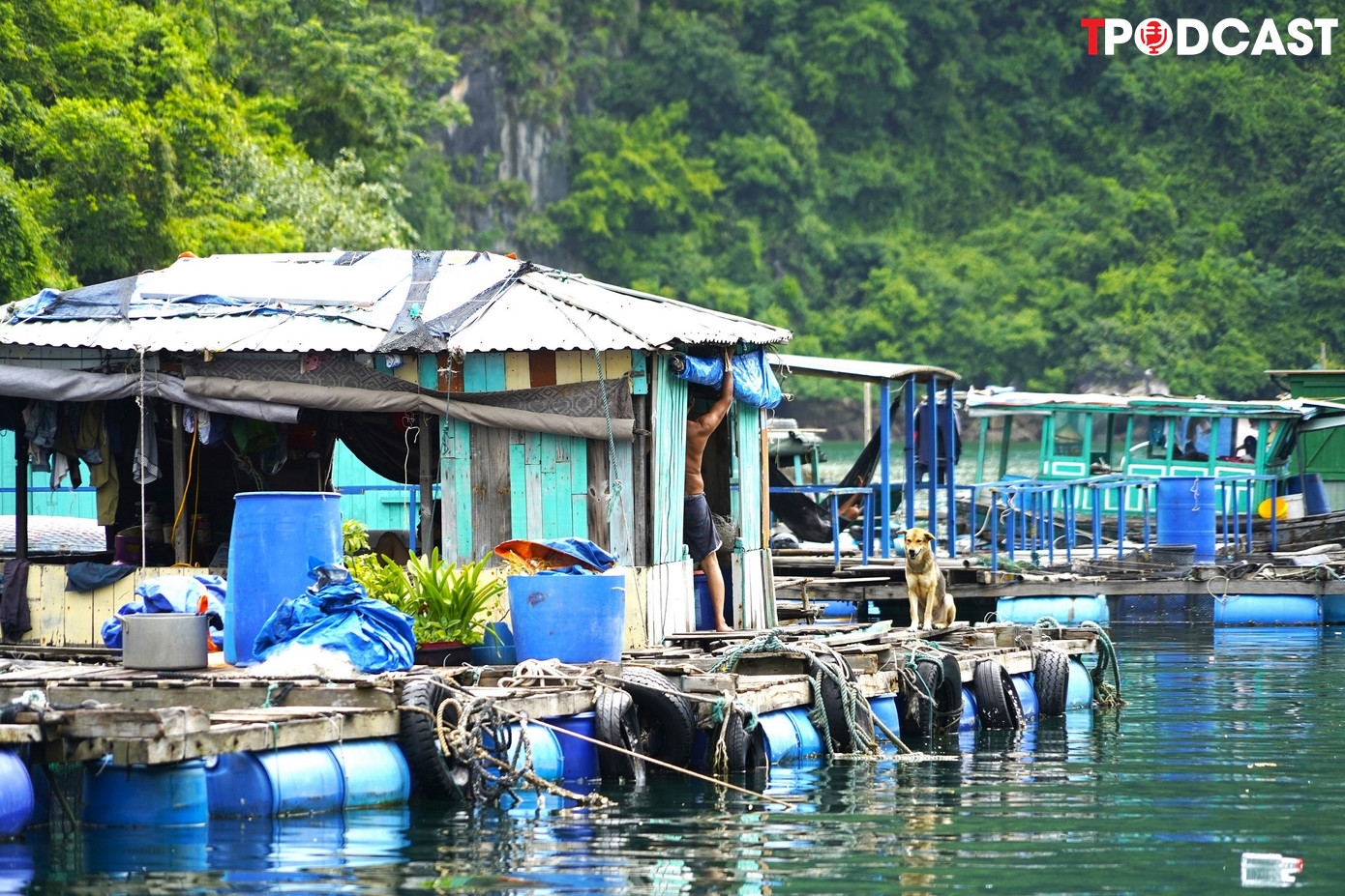 Hình ảnh lũ trẻ làng chài như những mảng màu tươi sáng và bình dị, khiến bức tranh vịnh Hạ Long càng thêm quyến rũ.