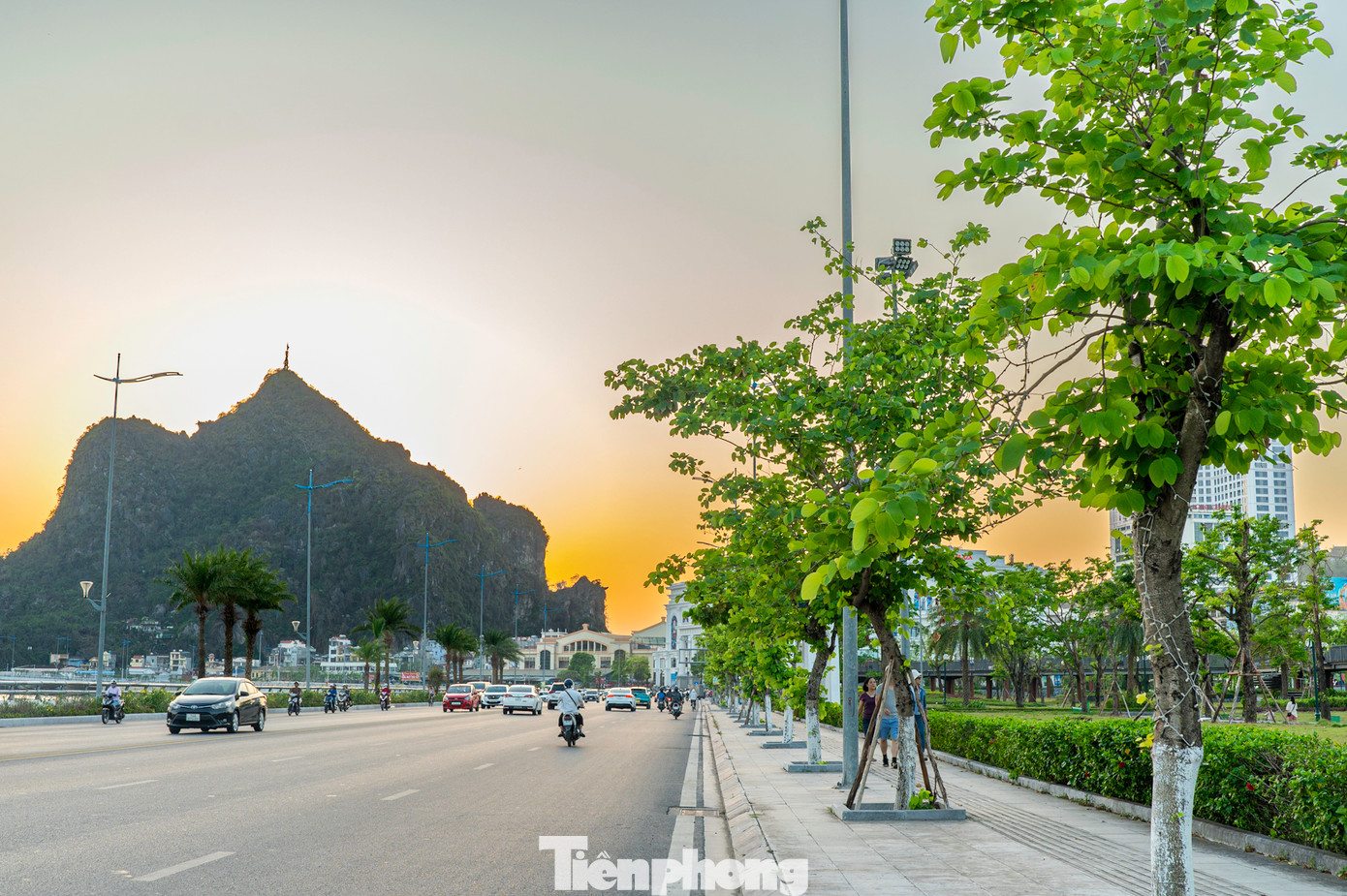 Những cây may mắn không bị gãy đổ, nay mọc thêm lá tạo nên một màu xanh ít thấy vào mùa thu. Những cây may mắn không bị gãy đổ, nay mọc thêm lá tạo nên một màu xanh ít thấy vào mùa thu.